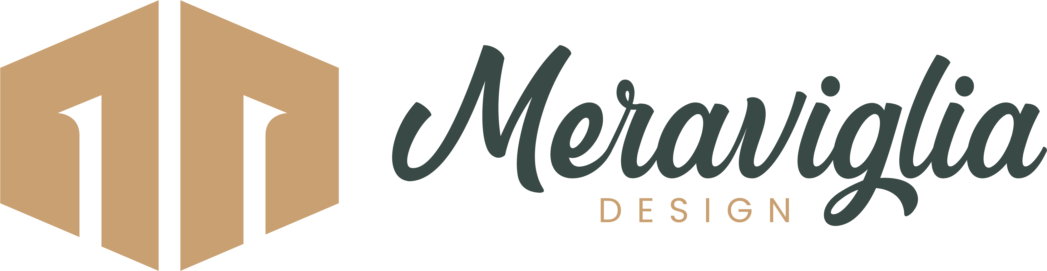 Meraviglia Design Logo