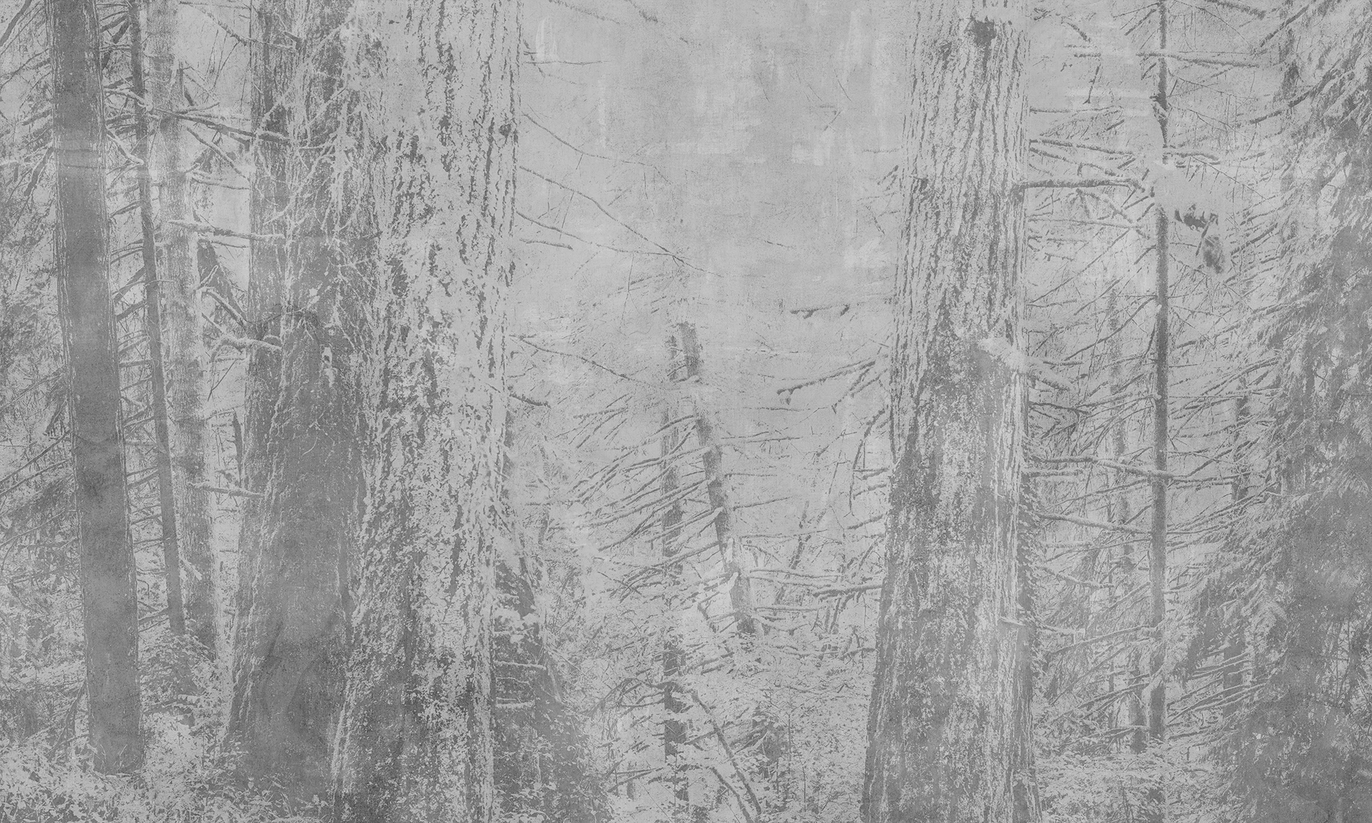 Tapete Silent Wood grau weiss mit Baumstämmen