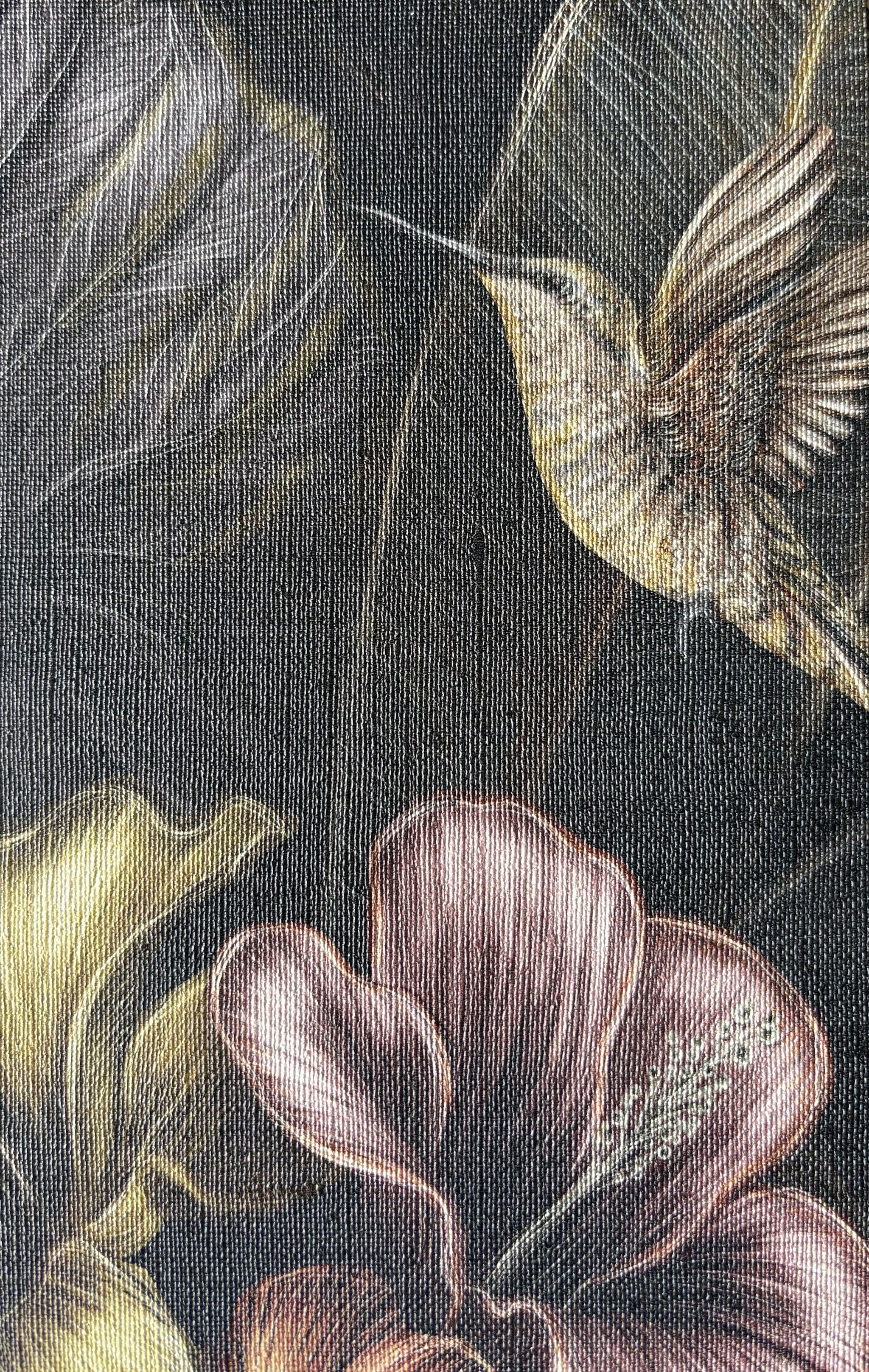 Eden Noir – Exklusive Design-Tapete mit floralen Motiven und exotischen Vögeln