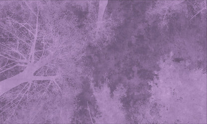 Forest Canopy